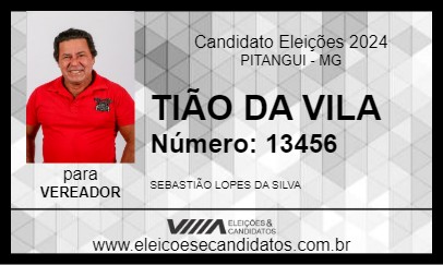 Candidato TIÃO DA VILA 2024 - PITANGUI - Eleições