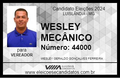 Candidato WESLEY MECÂNICO 2024 - LUISLÂNDIA - Eleições