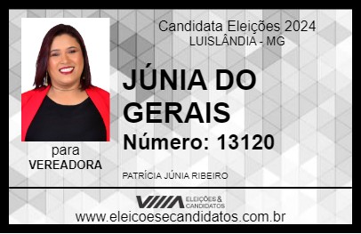 Candidato JÚNIA DO GERAIS 2024 - LUISLÂNDIA - Eleições