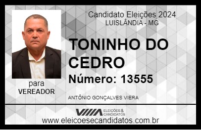 Candidato TONINHO DO CEDRO 2024 - LUISLÂNDIA - Eleições