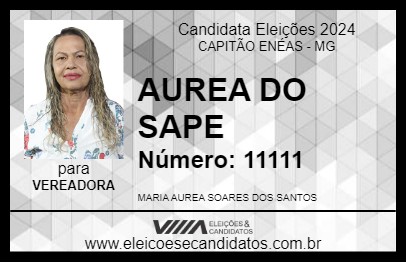 Candidato AUREA DO SAPE 2024 - CAPITÃO ENÉAS - Eleições