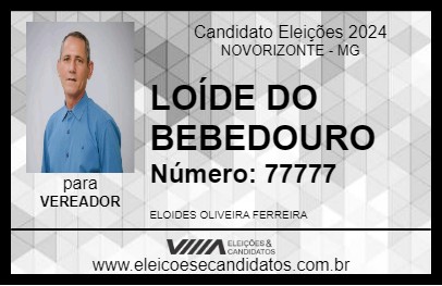 Candidato LOÍDE DO BEBEDOURO 2024 - NOVORIZONTE - Eleições