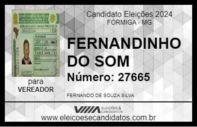 Candidato FERNANDINHO DO SOM 2024 - FORMIGA - Eleições