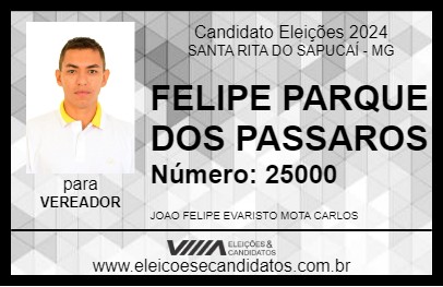 Candidato FELIPE PARQUE DOS PASSAROS 2024 - SANTA RITA DO SAPUCAÍ - Eleições