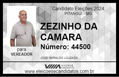 Candidato ZEZINHO DA CAMARA 2024 - PITANGUI - Eleições