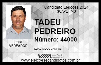 Candidato TADEU PEDREIRO 2024 - GUAPÉ - Eleições