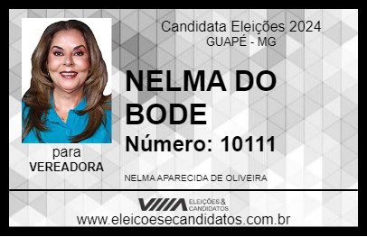 Candidato NELMA DO BODE 2024 - GUAPÉ - Eleições