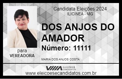 Candidato DOS ANJOS DO AMADOR 2024 - ILICÍNEA - Eleições