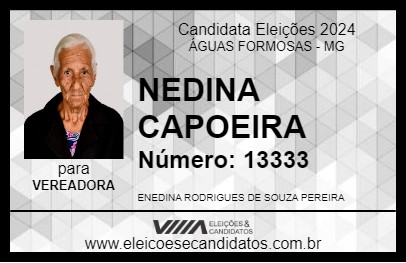 Candidato NEDINA CAPOEIRA 2024 - ÁGUAS FORMOSAS - Eleições