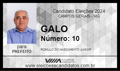 Candidato GALO 2024 - CAMPOS GERAIS - Eleições