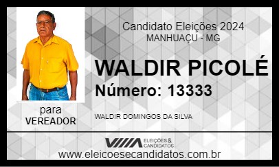 Candidato WALDIR PICOLÉ 2024 - MANHUAÇU - Eleições