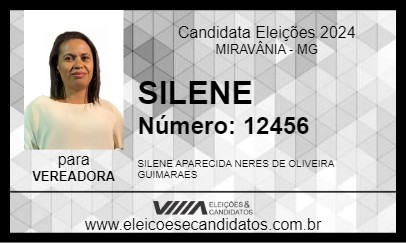 Candidato SILENE 2024 - MIRAVÂNIA - Eleições