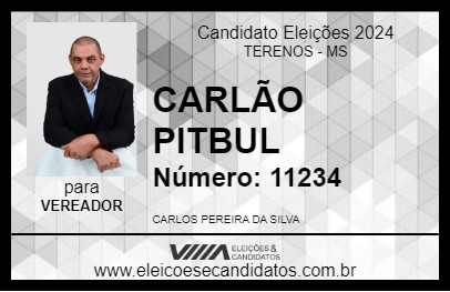 Candidato CARLÃO PITBUL 2024 - TERENOS - Eleições