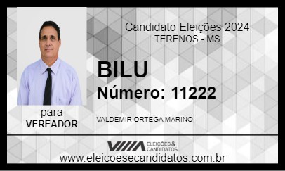 Candidato BILU 2024 - TERENOS - Eleições