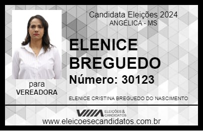 Candidato ELENICE BREGUEDO 2024 - ANGÉLICA - Eleições