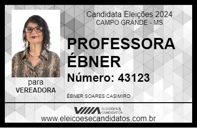 Candidato PROFESSORA ÉBNER 2024 - CAMPO GRANDE - Eleições