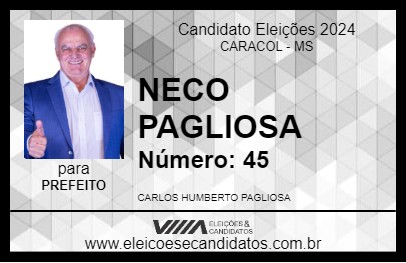 Candidato NECO PAGLIOSA 2024 - CARACOL - Eleições