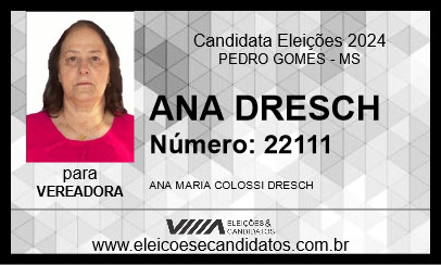 Candidato ANA DRESCH 2024 - PEDRO GOMES - Eleições