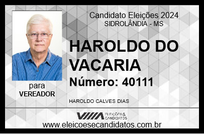 Candidato HAROLDO DO VACARIA 2024 - SIDROLÂNDIA - Eleições