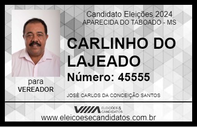 Candidato CARLINHO DO LAJEADO 2024 - APARECIDA DO TABOADO - Eleições