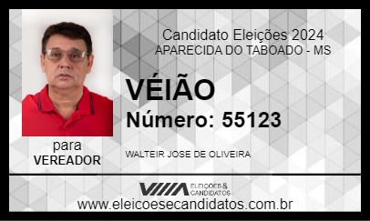 Candidato VÉIÃO 2024 - APARECIDA DO TABOADO - Eleições