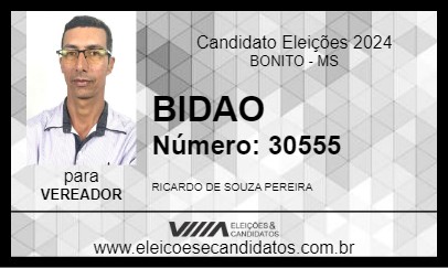 Candidato BIDAO 2024 - BONITO - Eleições