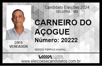 Candidato SERGIO CARNEIRO DO AÇOUGUE 2024 - SELVÍRIA - Eleições