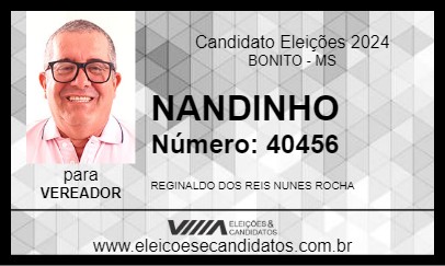 Candidato NANDINHO 2024 - BONITO - Eleições