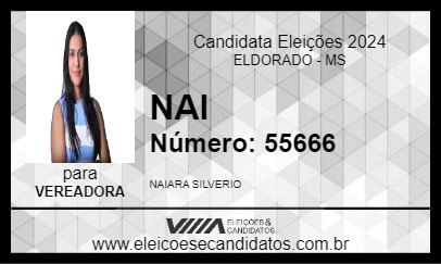 Candidato NAI 2024 - ELDORADO - Eleições