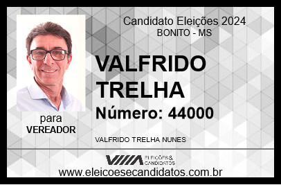 Candidato VALFRIDO TRELHA 2024 - BONITO - Eleições