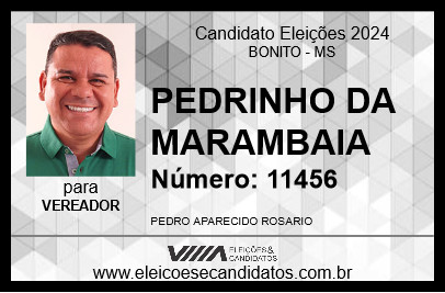 Candidato PEDRINHO DA MARAMBAIA 2024 - BONITO - Eleições