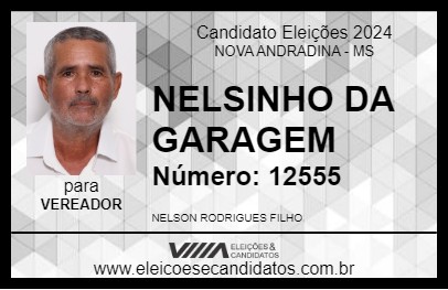 Candidato NELSINHO DA GARAGEM 2024 - NOVA ANDRADINA - Eleições