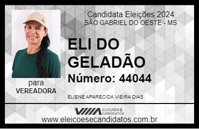 Candidato ELI DO GELADÃO 2024 - SÃO GABRIEL DO OESTE - Eleições