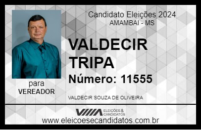 Candidato VALDECIR TRIPA 2024 - AMAMBAI - Eleições