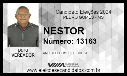 Candidato NESTOR 2024 - PEDRO GOMES - Eleições