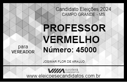 Candidato PROFESSOR VERMELHO 2024 - CAMPO GRANDE - Eleições