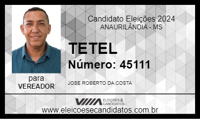 Candidato TETEL 2024 - ANAURILÂNDIA - Eleições