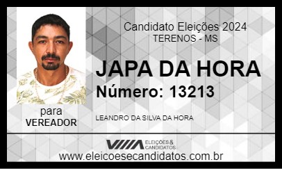 Candidato JAPA DA HORA 2024 - TERENOS - Eleições