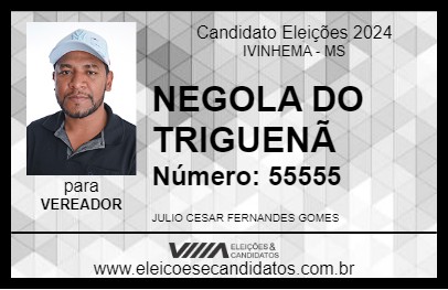 Candidato NEGOLA DO TRIGUENÃ 2024 - IVINHEMA - Eleições