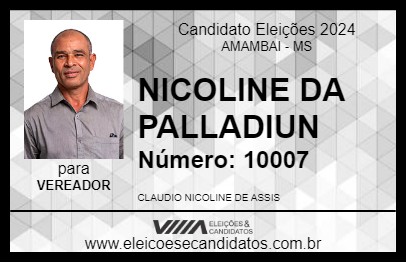 Candidato NICOLINE DA PALLADIUN 2024 - AMAMBAI - Eleições