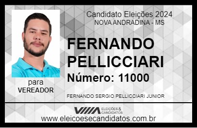 Candidato FERNANDO PELLICCIARI 2024 - NOVA ANDRADINA - Eleições