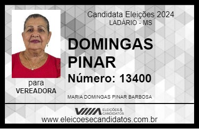 Candidato DOMINGAS PINAR 2024 - LADÁRIO - Eleições