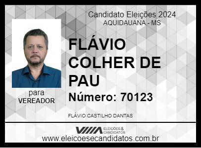 Candidato FLÁVIO COLHER DE PAU 2024 - AQUIDAUANA - Eleições