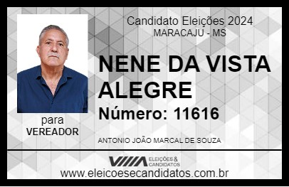 Candidato NENE DA VISTA ALEGRE 2024 - MARACAJU - Eleições