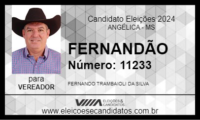 Candidato FERNANDÃO 2024 - ANGÉLICA - Eleições