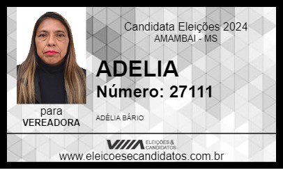 Candidato ADELIA 2024 - AMAMBAI - Eleições