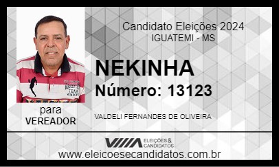 Candidato NEKINHA 2024 - IGUATEMI - Eleições