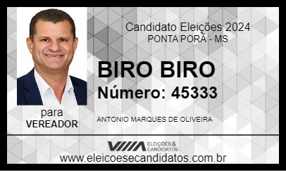 Candidato BIRO BIRO 2024 - PONTA PORÃ - Eleições