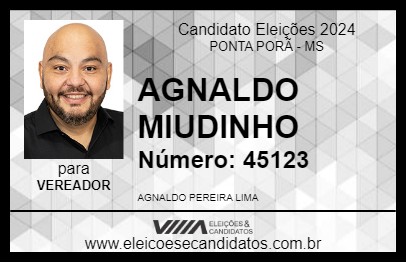 Candidato AGNALDO MIUDINHO 2024 - PONTA PORÃ - Eleições