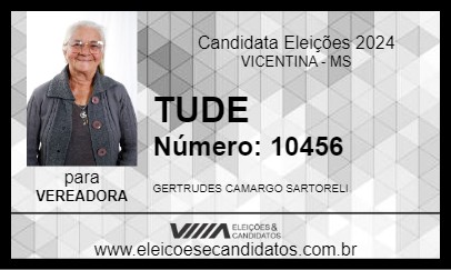 Candidato TUDE  2024 - VICENTINA - Eleições